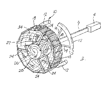 microsatellite